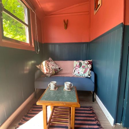The Hares Hut At Carrigeen Glamping Kilkenny Eksteriør billede