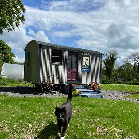 The Hares Hut At Carrigeen Glamping Kilkenny Eksteriør billede