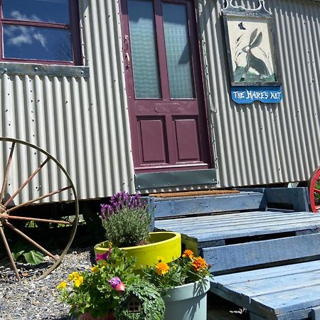 The Hares Hut At Carrigeen Glamping Kilkenny Eksteriør billede