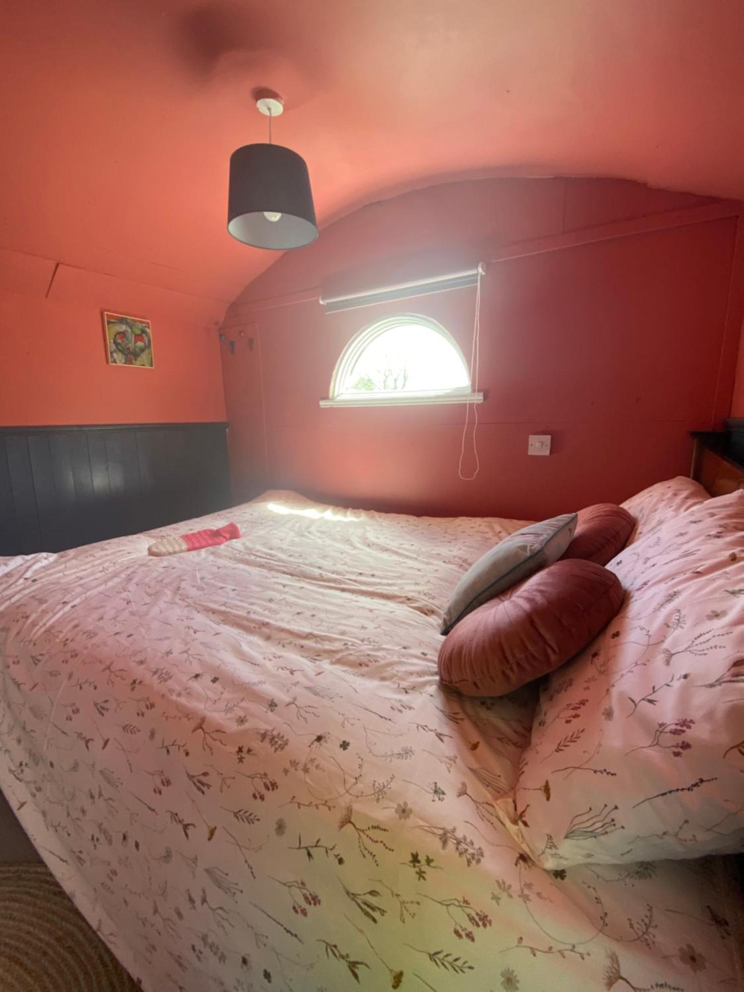 The Hares Hut At Carrigeen Glamping Kilkenny Eksteriør billede