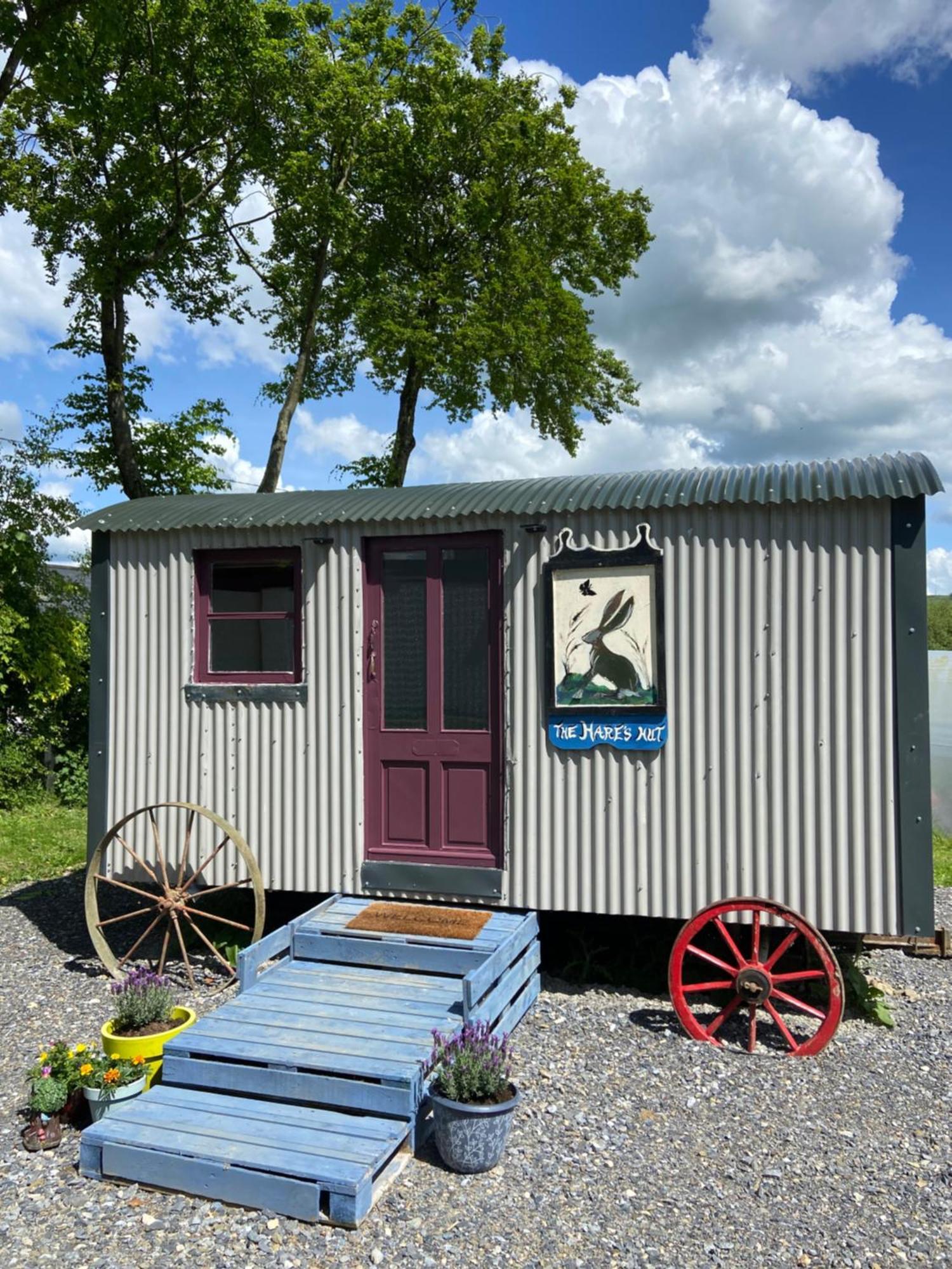 The Hares Hut At Carrigeen Glamping Kilkenny Eksteriør billede